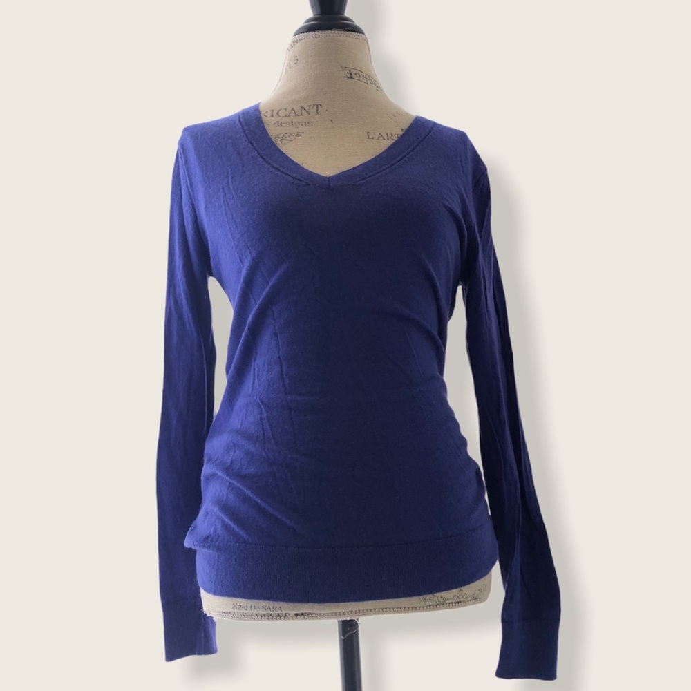 Banana Republic Merino Wool V-Neck Pullover